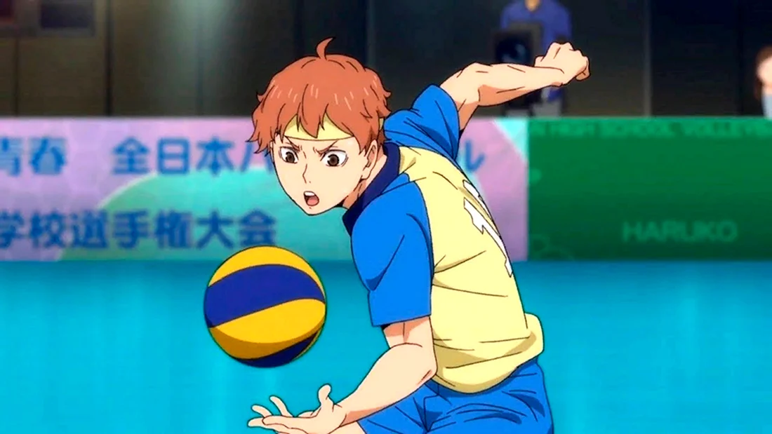 Аой Химекава волейбол