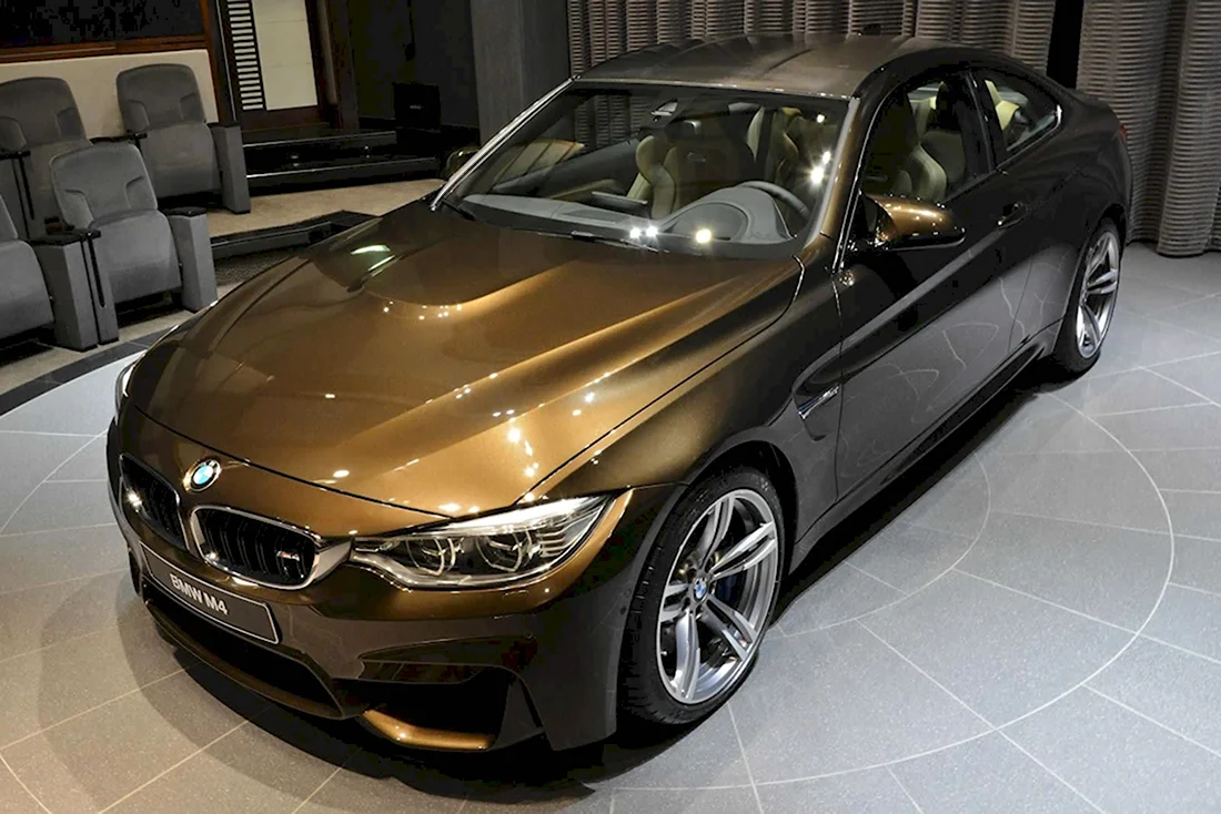 BMW Pyrite Brown краска