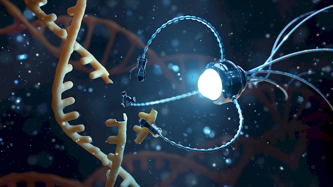 ДНК нанотехнологии