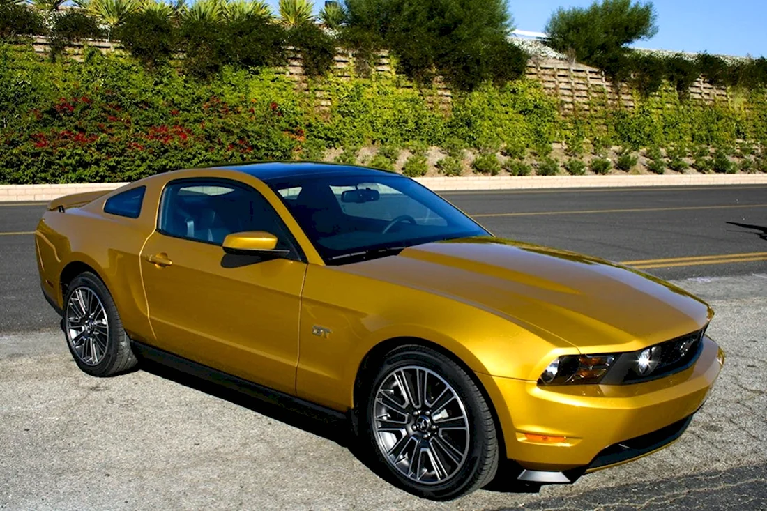Ford Mustang gt5.0s 197
