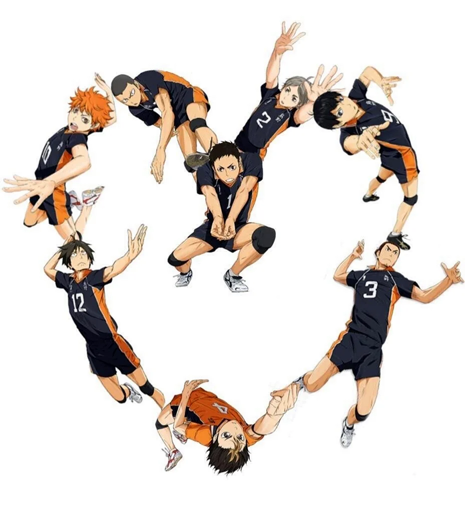 Японская волейбольная команда Карасуно