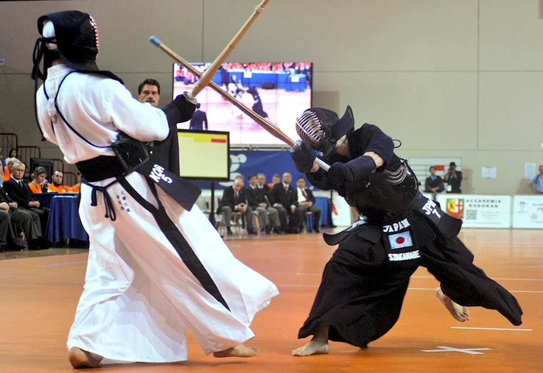Кэндо боевые искусства Японии