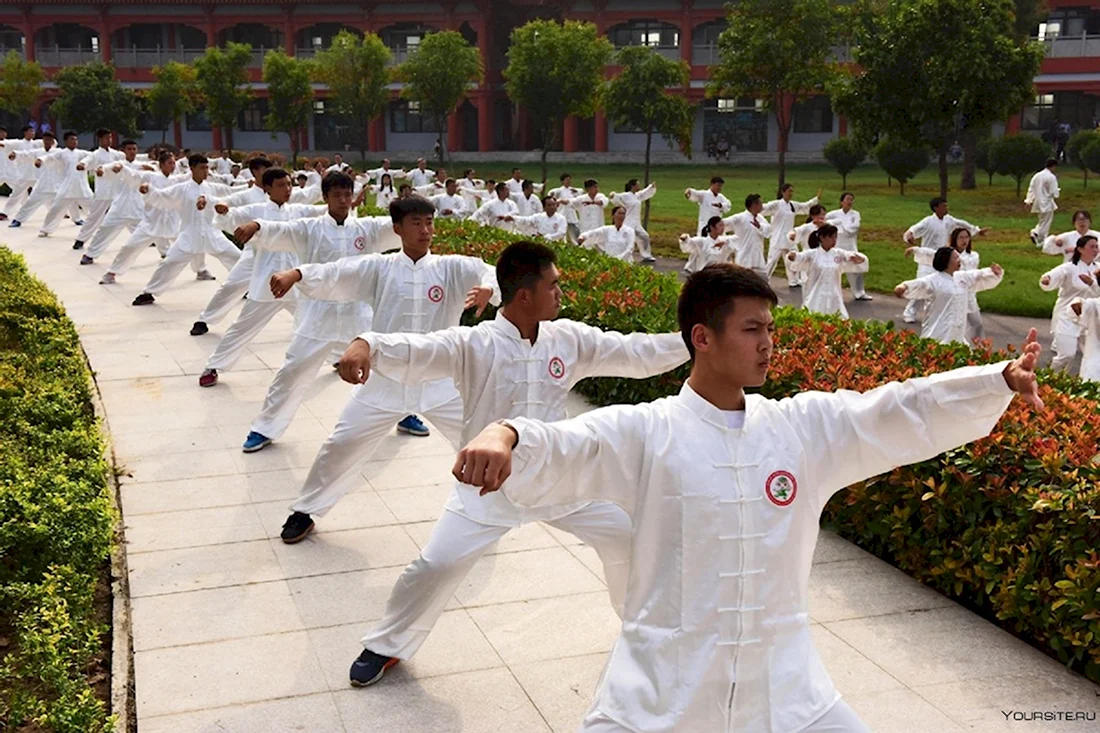 Китайская гимнастика Тайцзи