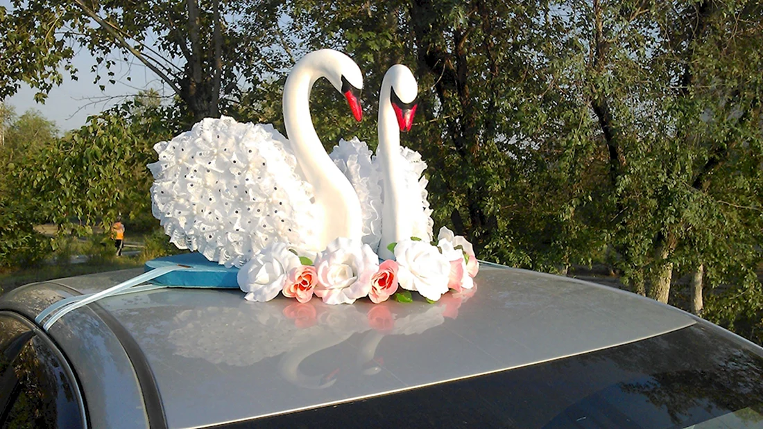 Лебеди на машину