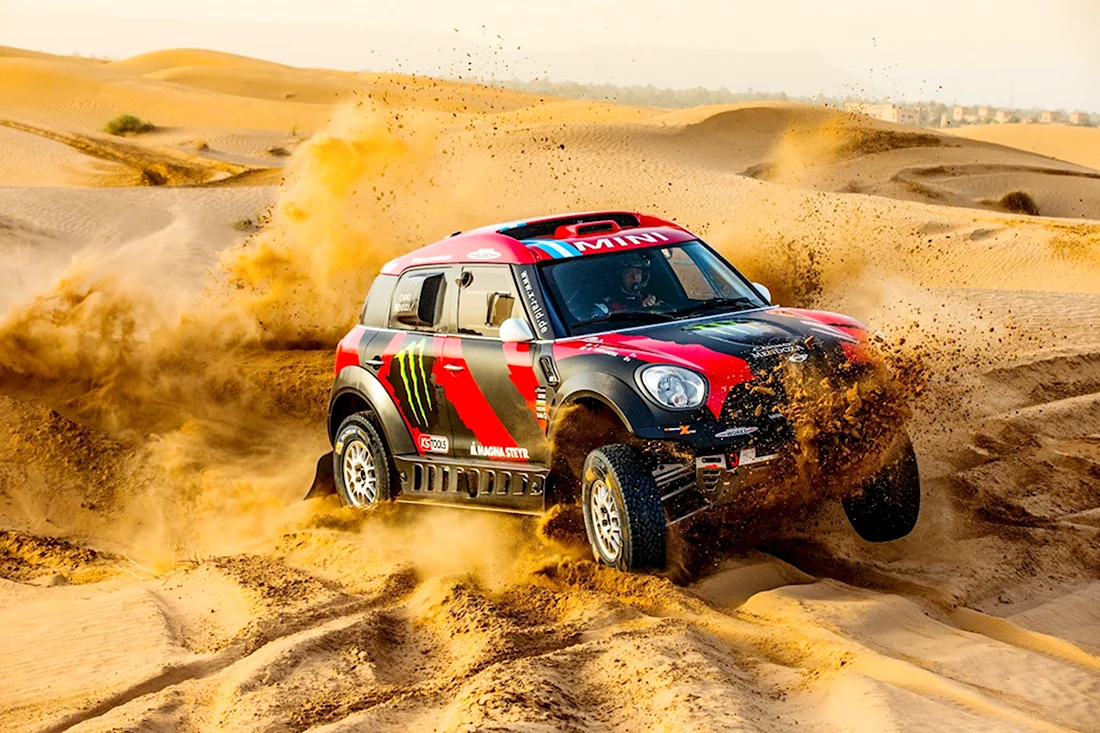 Mini Rally Dakar