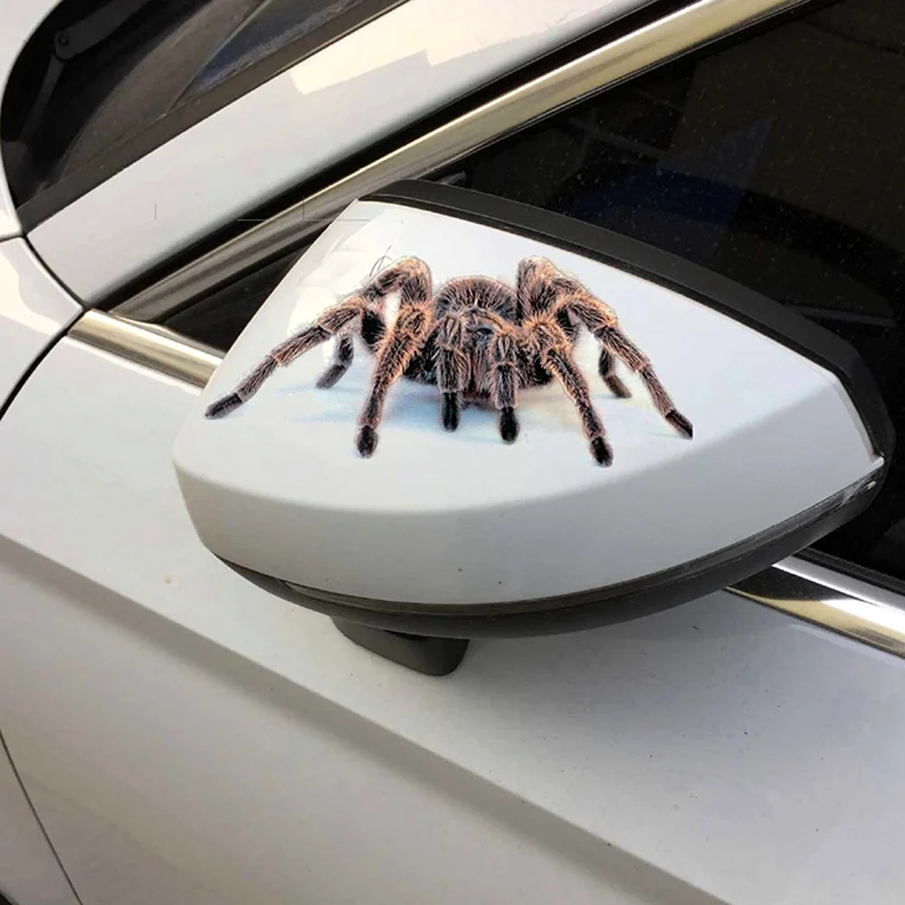 Наклейки на авто паук