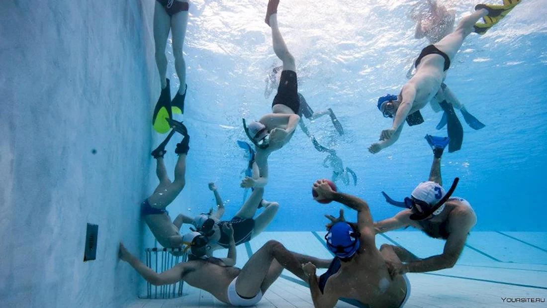 Подводный вид спорта