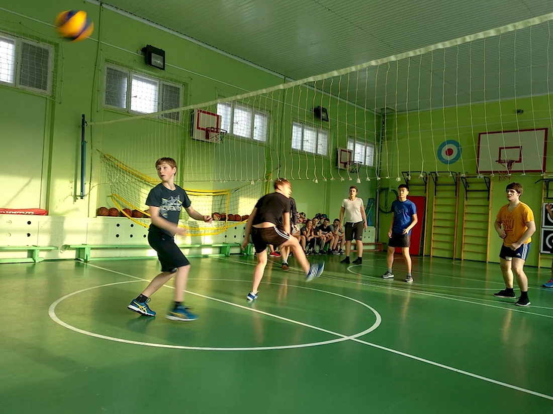 Школьный волейбол