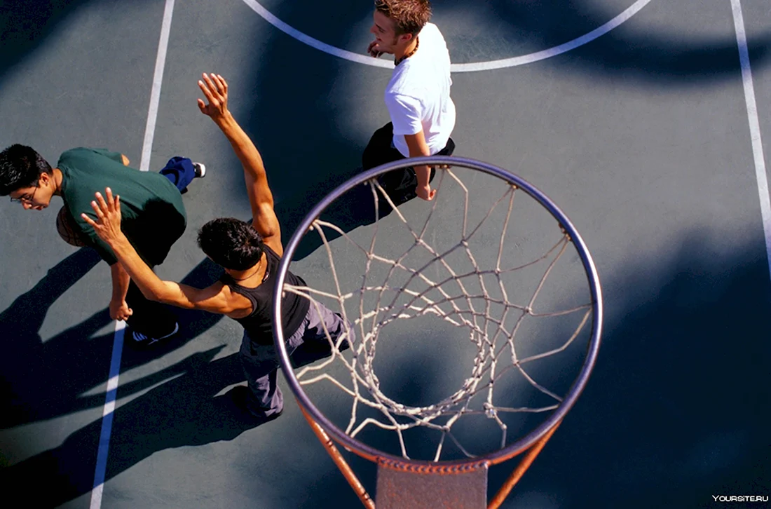 Скоростно-силовая подготовка баскетболистов