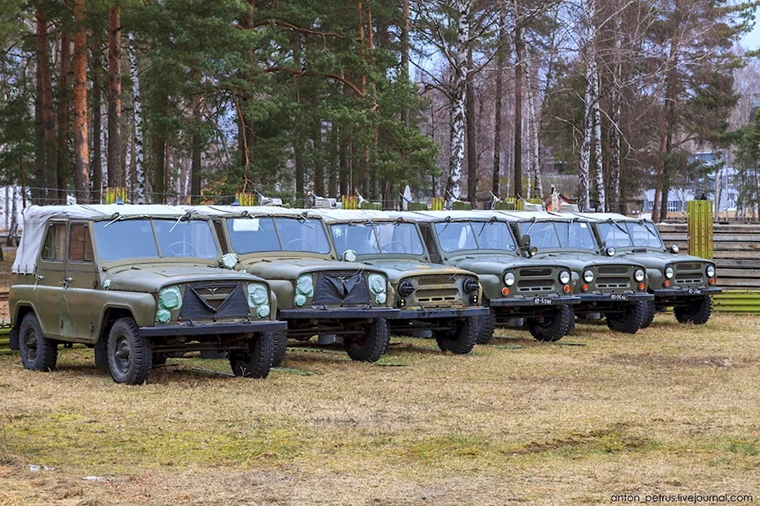 Машины с консервации (41 фото)