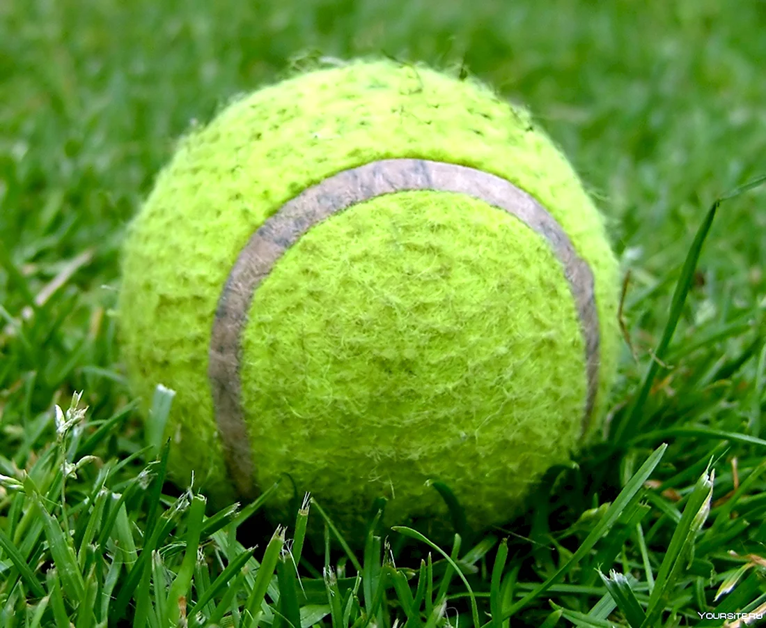 Теннисный мяч Уимблдон