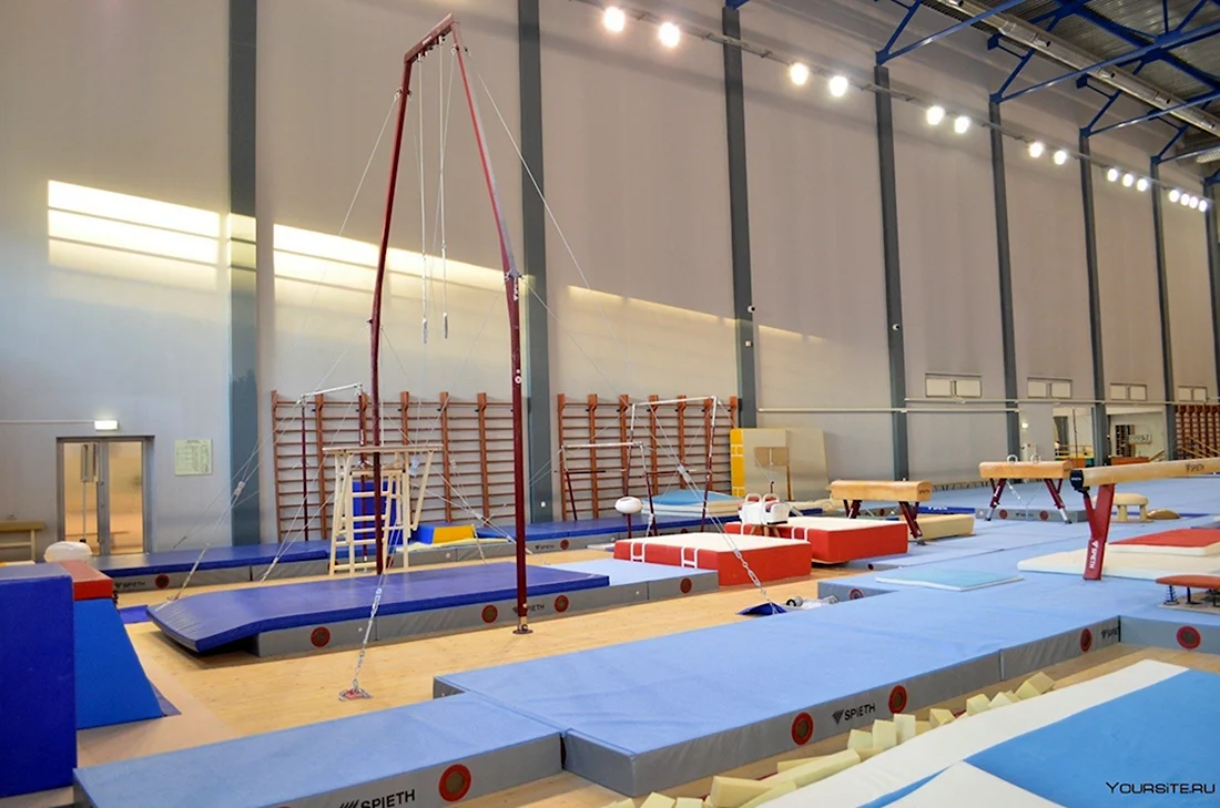 Центр гимнастики Казань зал