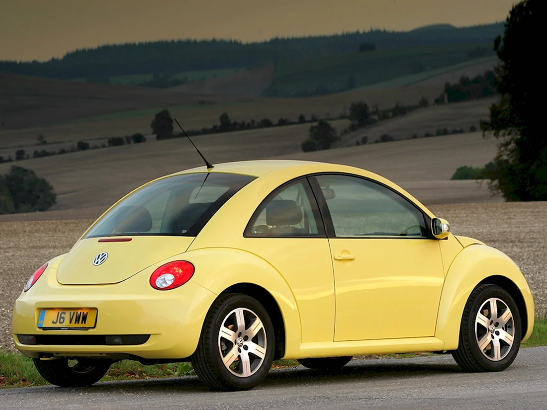 Volkswagen New Beetle 1 поколение