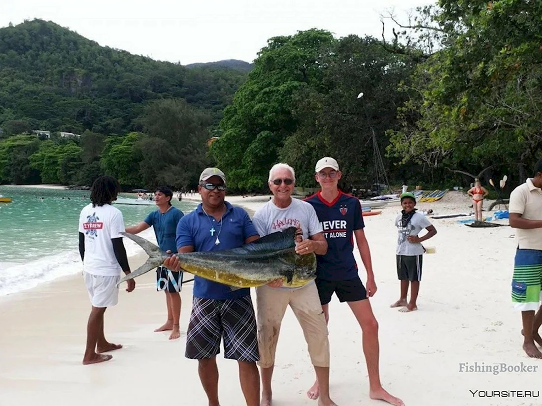 Большие рыбы на Сейшельских островах