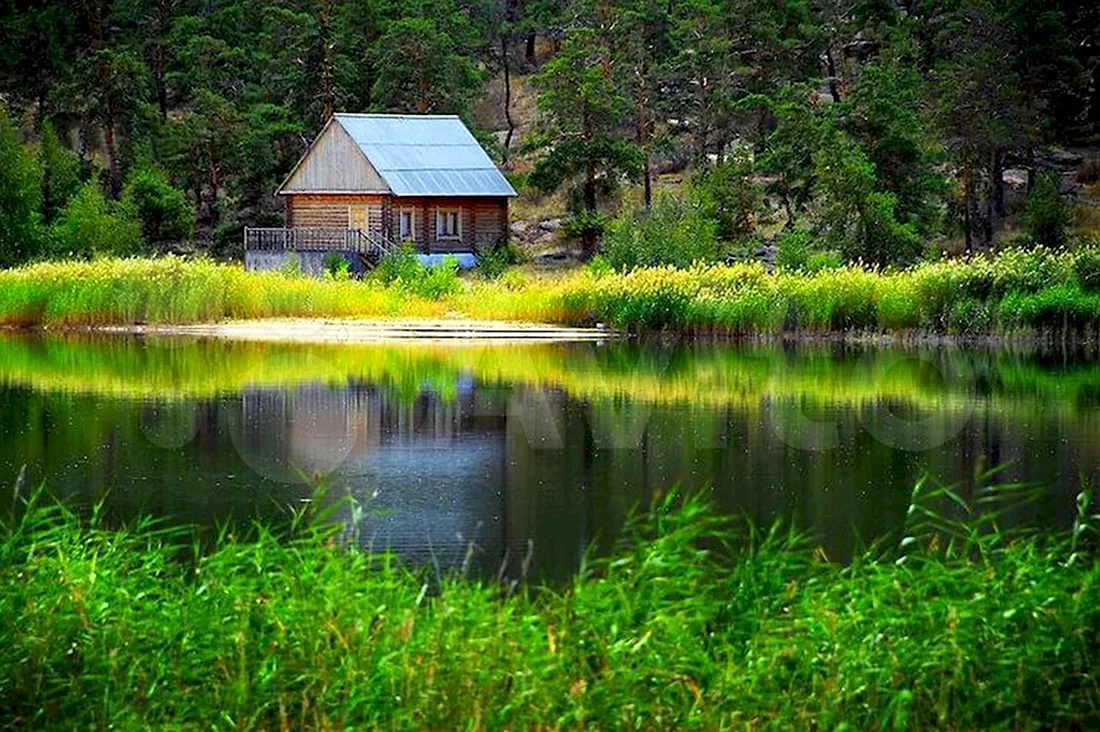 Дом в лесу у реки (35 фото)