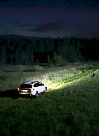 Машина в поле ночью