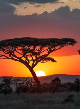 Национальный парк Серенгети Танзания