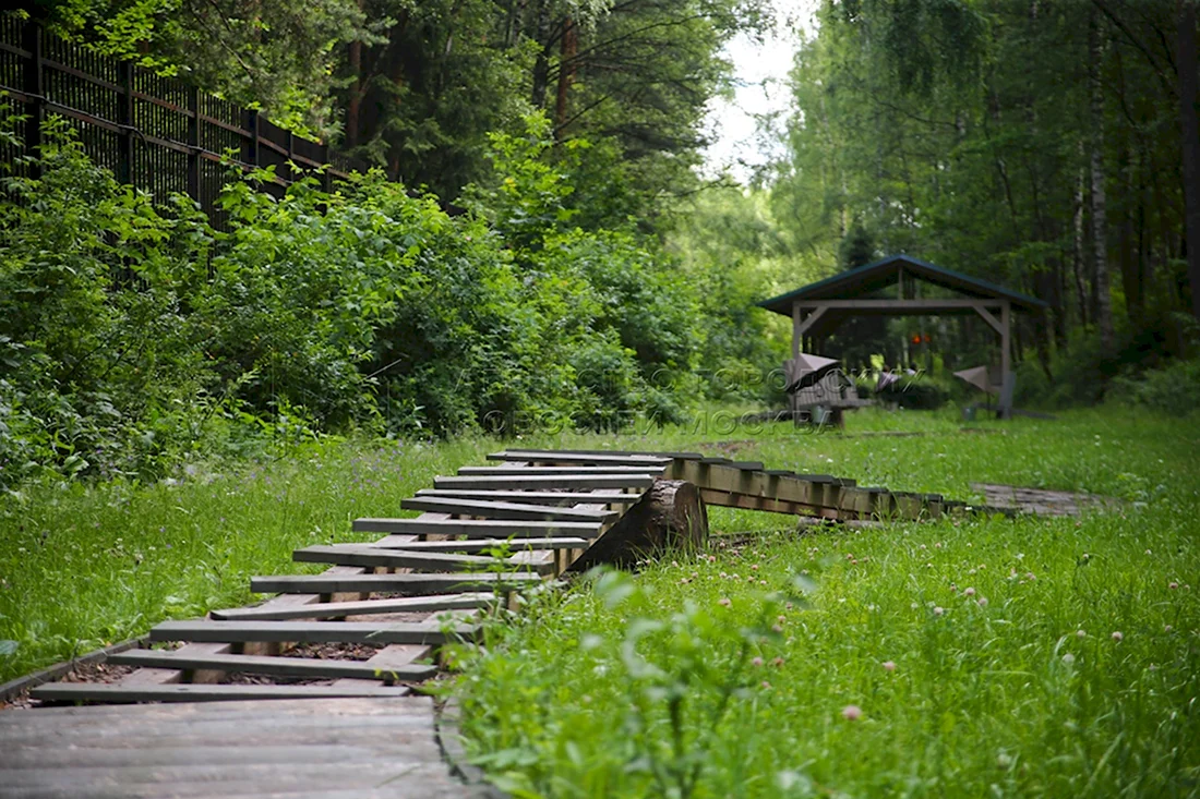 Босоногая тропа Лосиный остров (23 фото)