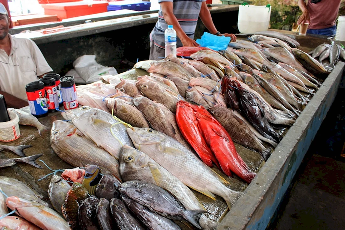 Рыбный рынок Сейшелы Виктория