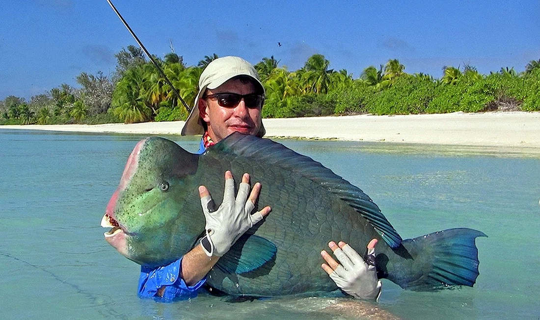 Рыбы на Мальдивах