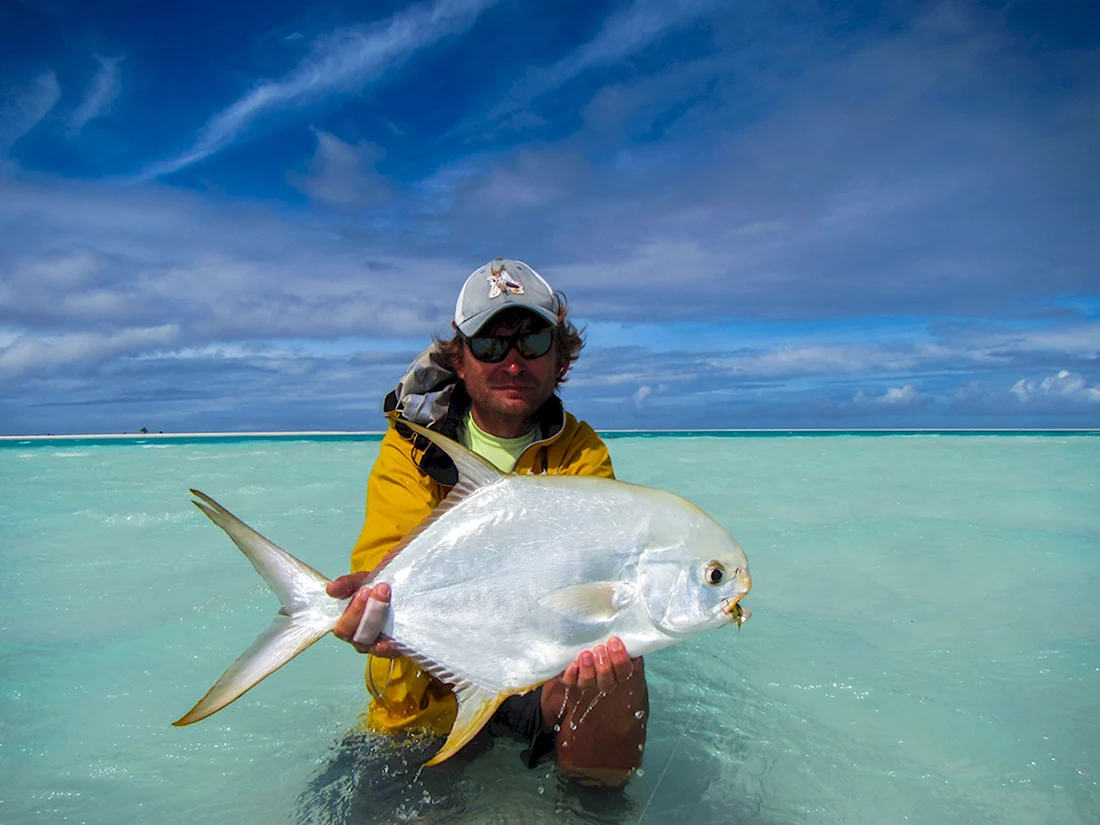 Рыбы на Мальдивах