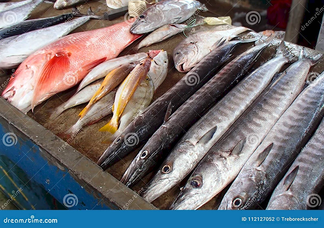 Съедобная рыба на Сейшелах