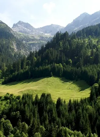 Тироль Австрия природа