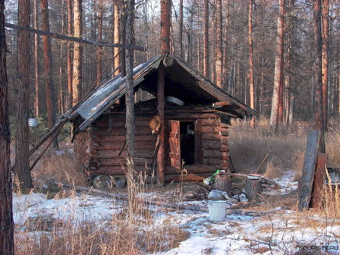 Охотничья избушка в лесу (45 фото)